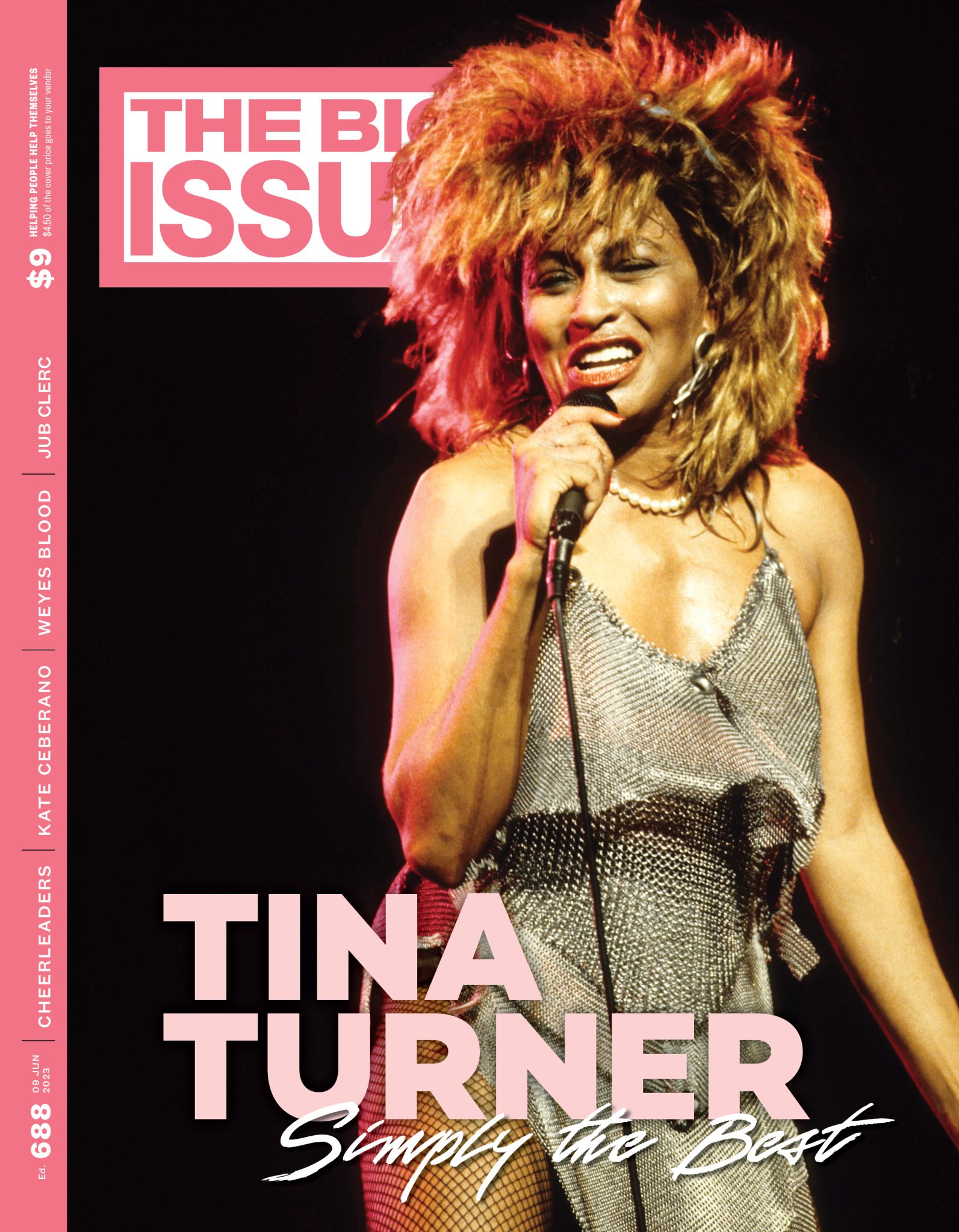 Tina Turner Simply the Best – The Big Issue